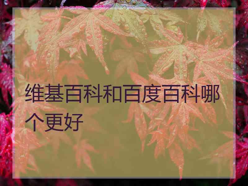 维基百科和百度百科哪个更好