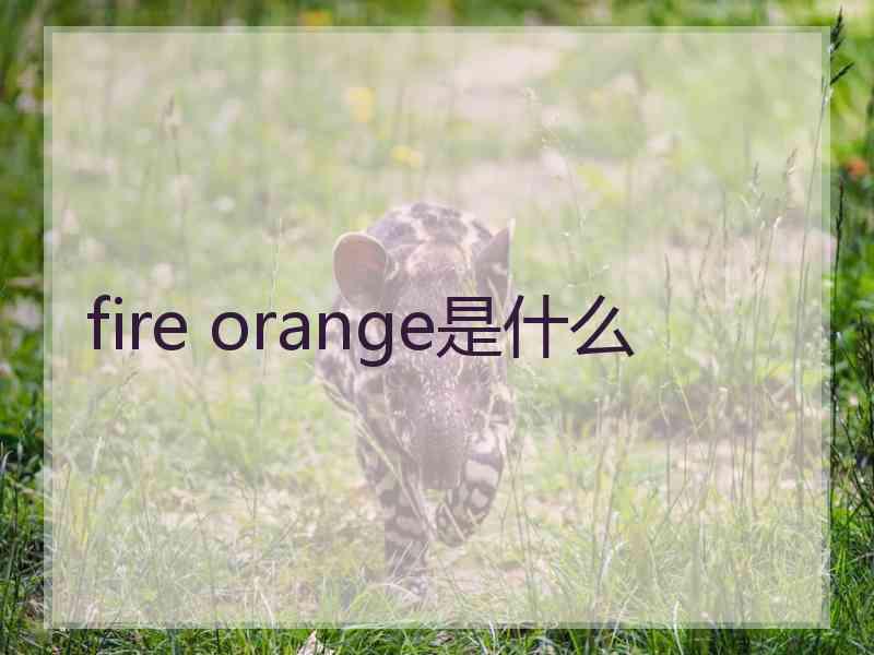 fire orange是什么