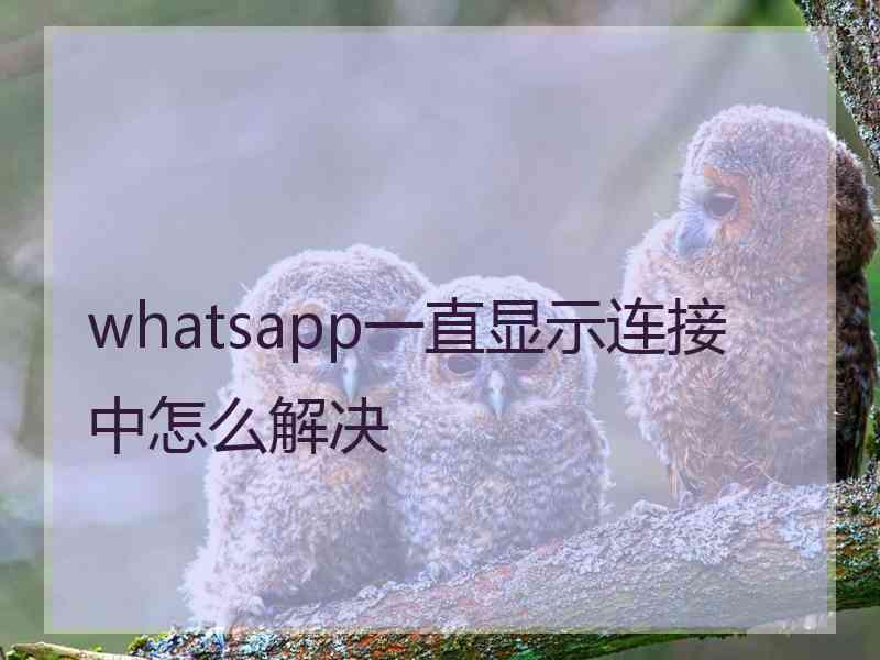 whatsapp一直显示连接中怎么解决