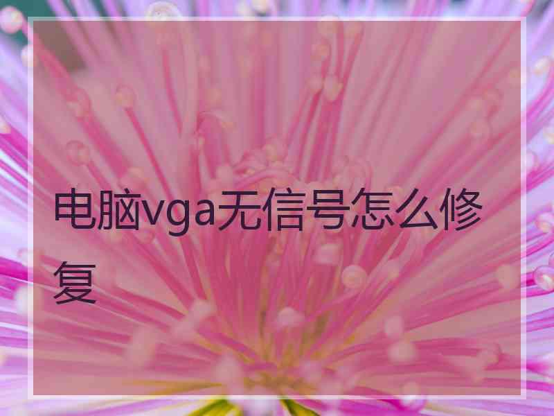 电脑vga无信号怎么修复