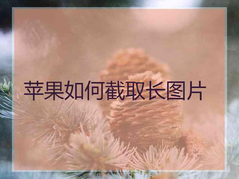 苹果如何截取长图片