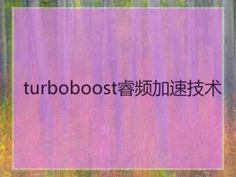 turboboost睿频加速技术