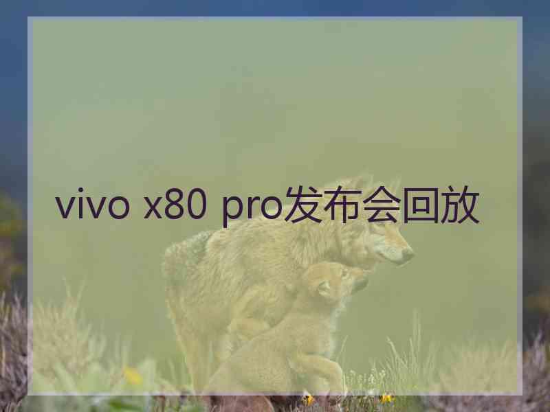 vivo x80 pro发布会回放