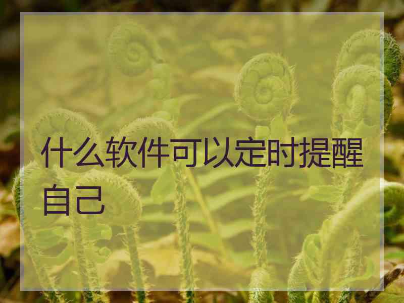 什么软件可以定时提醒自己