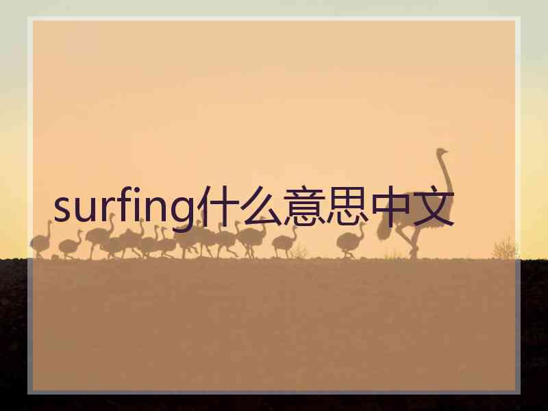 surfing什么意思中文