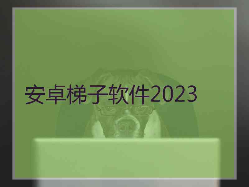 安卓梯子软件2023