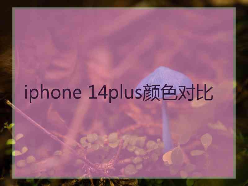 iphone 14plus颜色对比