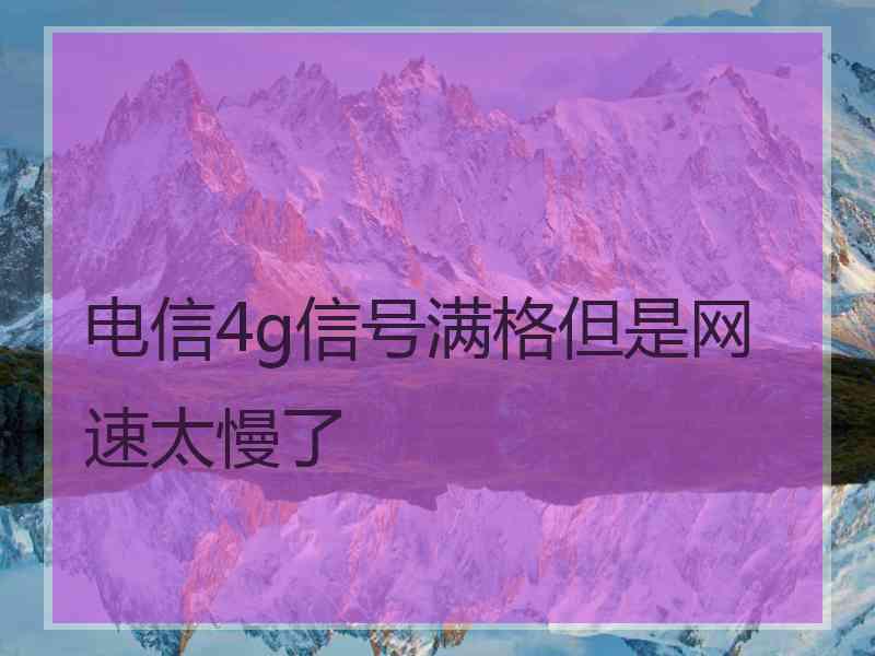 电信4g信号满格但是网速太慢了