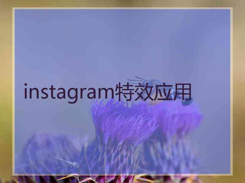 instagram特效应用