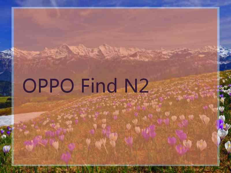 OPPO Find N2