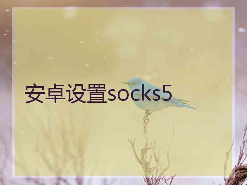 安卓设置socks5