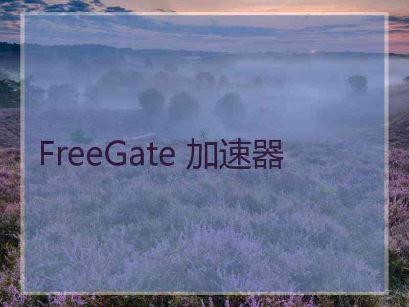 FreeGate 加速器