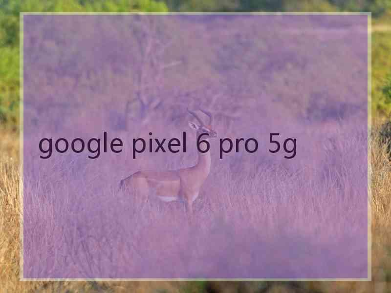 google pixel 6 pro 5g