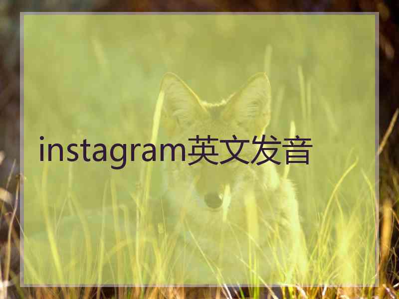 instagram英文发音