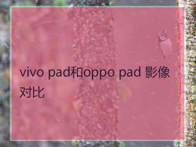 vivo pad和oppo pad 影像对比