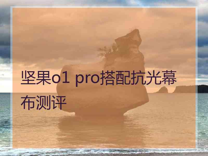 坚果o1 pro搭配抗光幕布测评