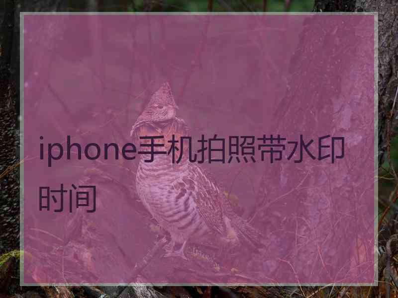 iphone手机拍照带水印时间