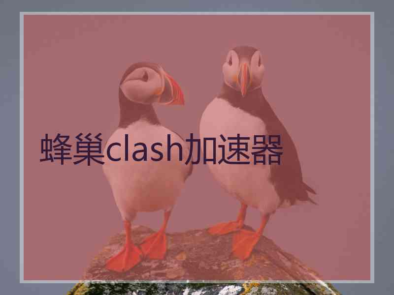 蜂巢clash加速器