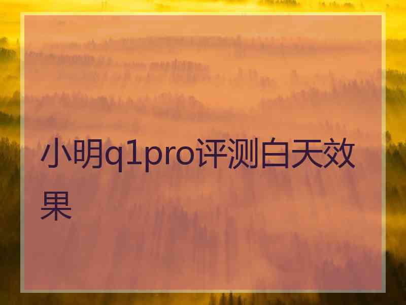 小明q1pro评测白天效果