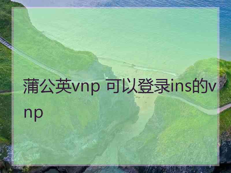 蒲公英vnp 可以登录ins的vnp