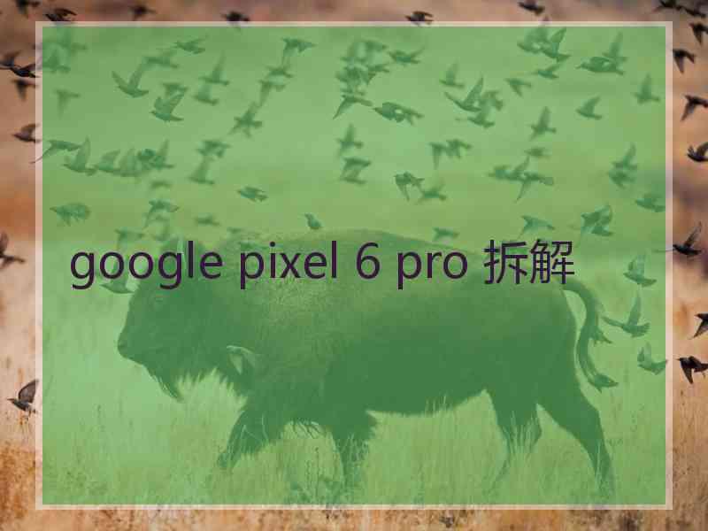 google pixel 6 pro 拆解