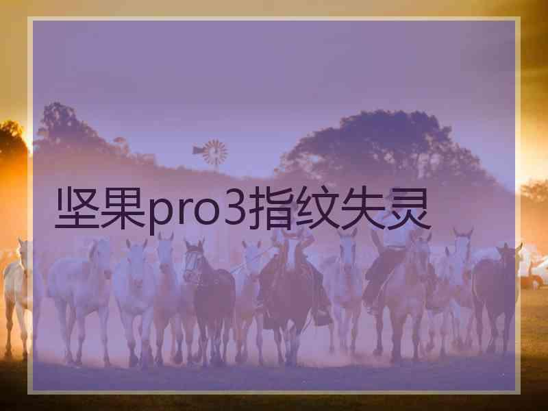 坚果pro3指纹失灵