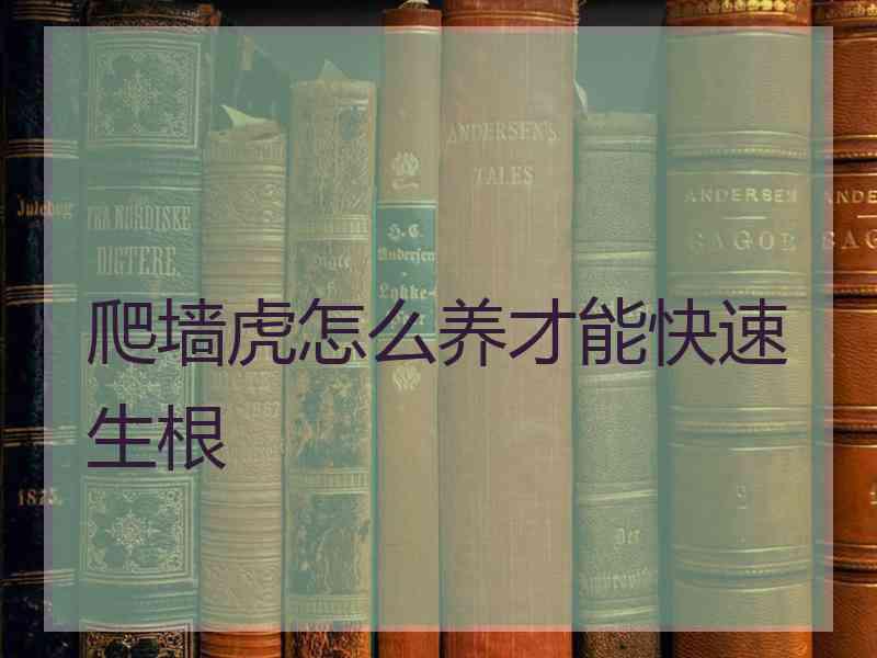 爬墙虎怎么养才能快速生根