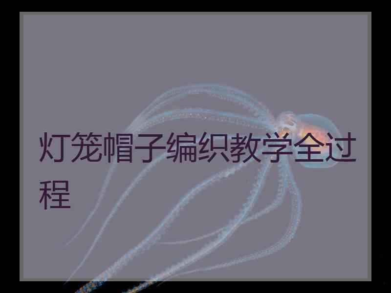 灯笼帽子编织教学全过程