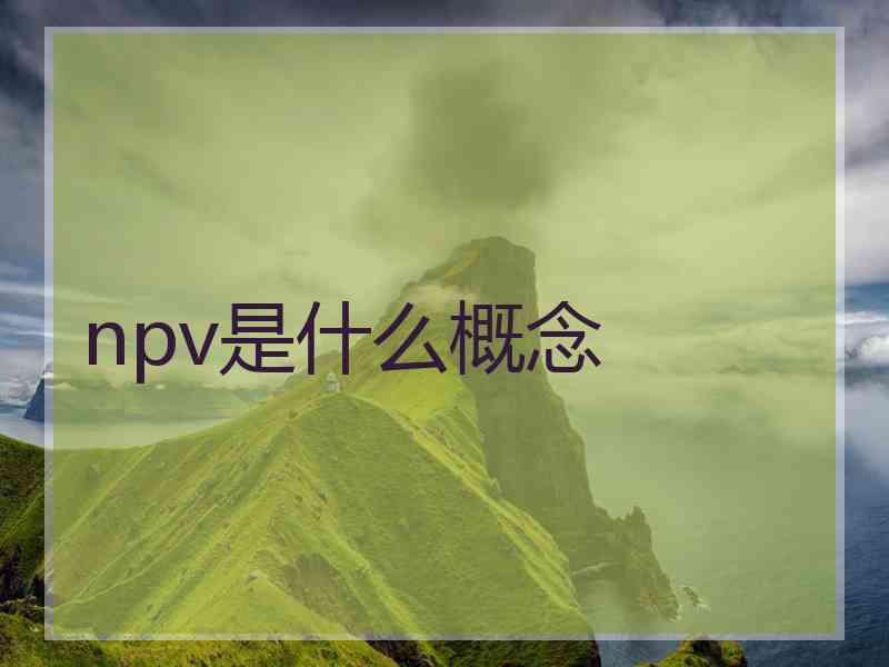 npv是什么概念