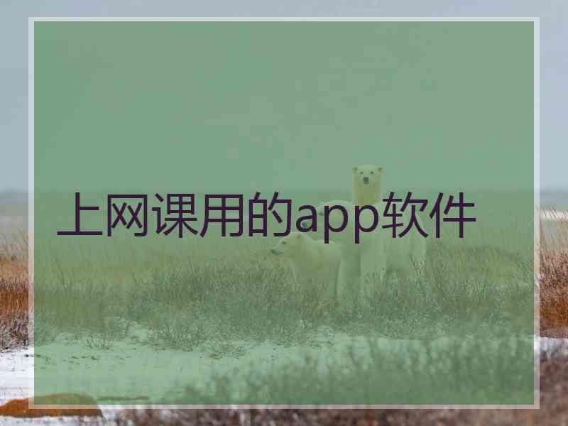 上网课用的app软件