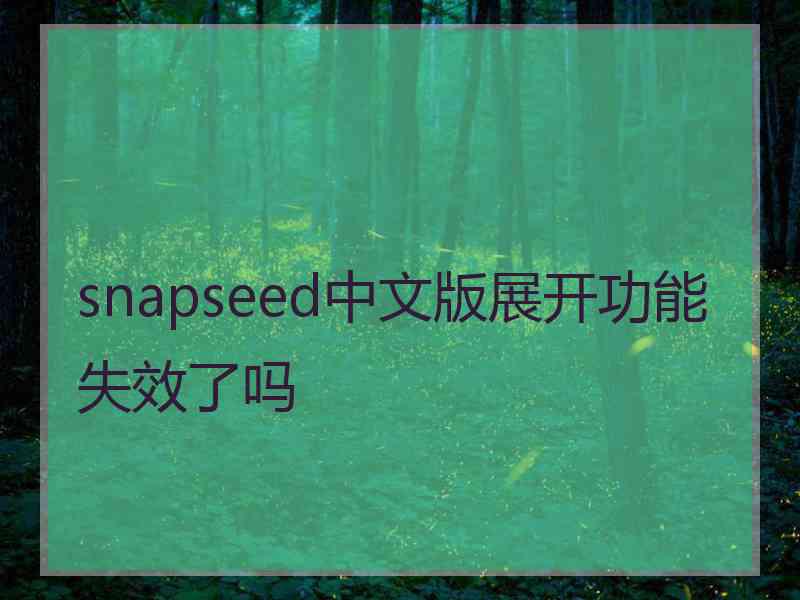 snapseed中文版展开功能失效了吗