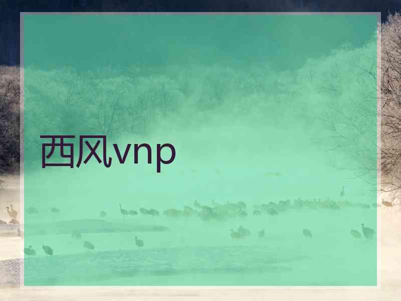 西风vnp