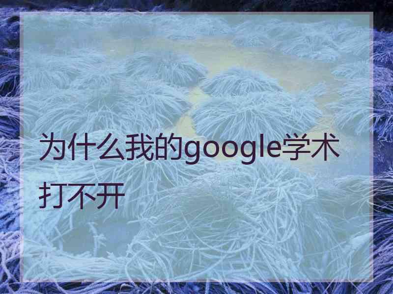 为什么我的google学术打不开