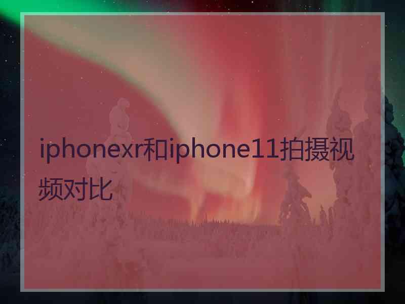 iphonexr和iphone11拍摄视频对比