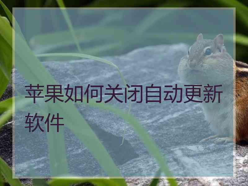 苹果如何关闭自动更新软件