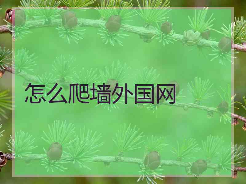 怎么爬墙外国网