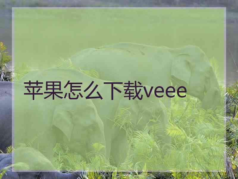 苹果怎么下载veee