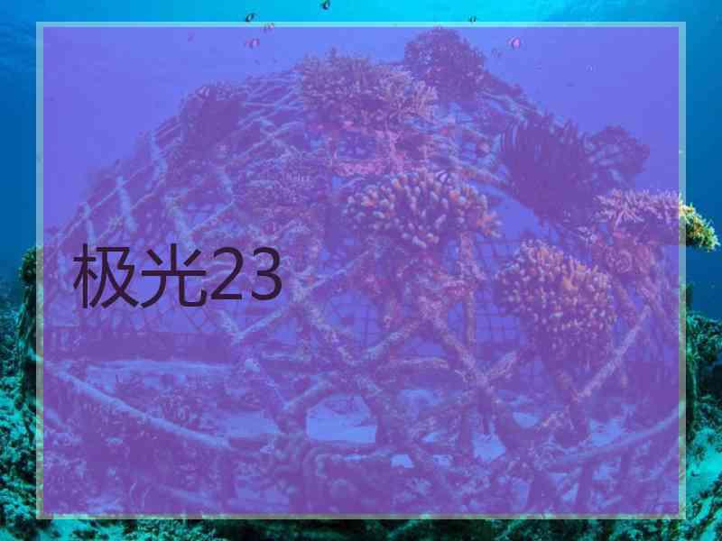 极光23