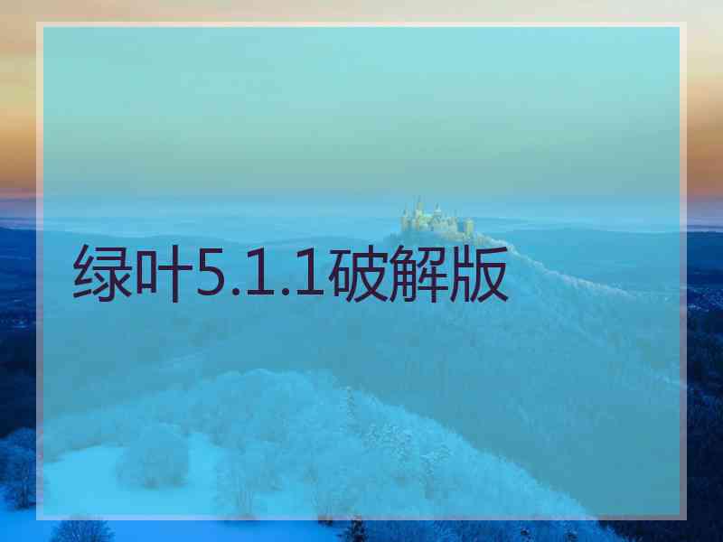 绿叶5.1.1破解版