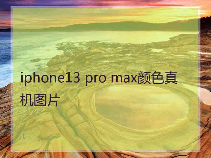 iphone13 pro max颜色真机图片