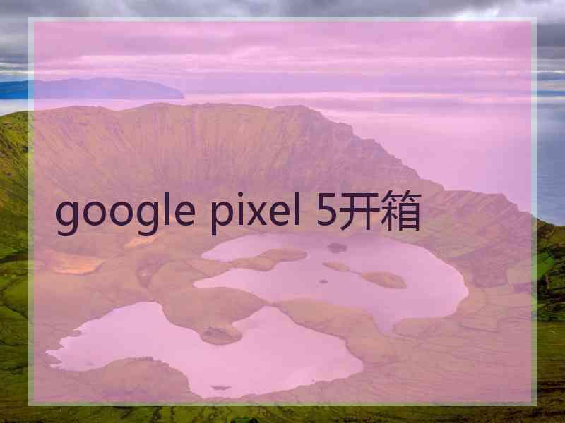 google pixel 5开箱