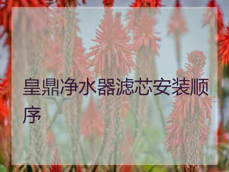 皇鼎净水器滤芯安装顺序