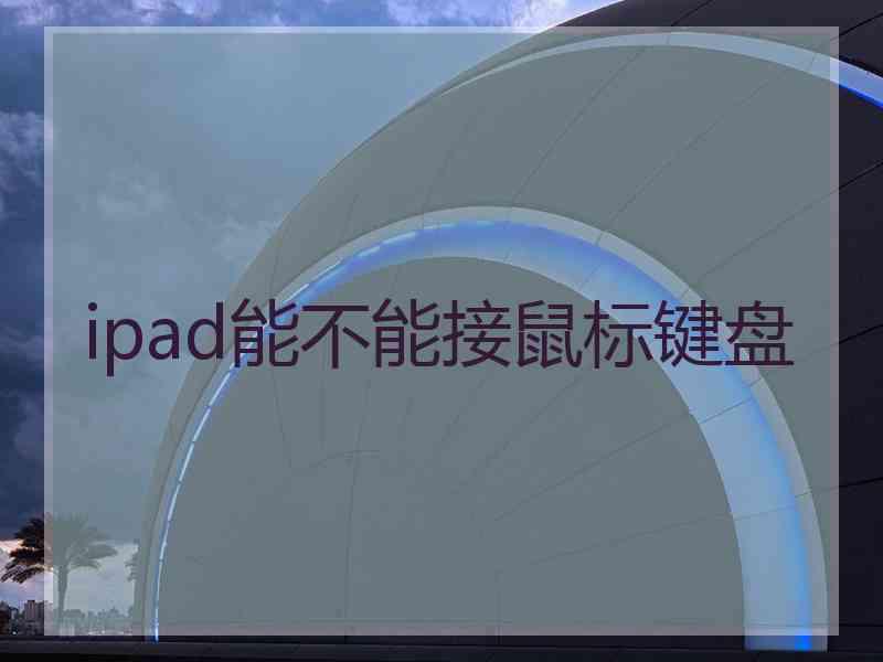 ipad能不能接鼠标键盘