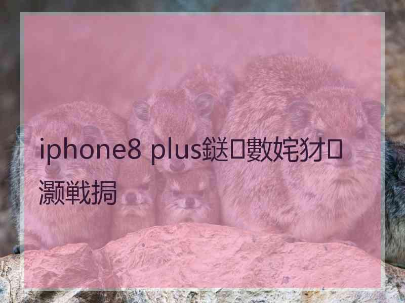 iphone8 plus鎹㈢數姹犲灏戦挶