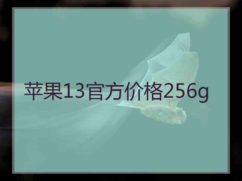 苹果13官方价格256g