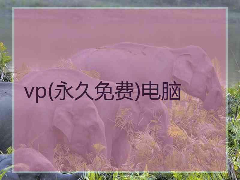 vp(永久免费)电脑