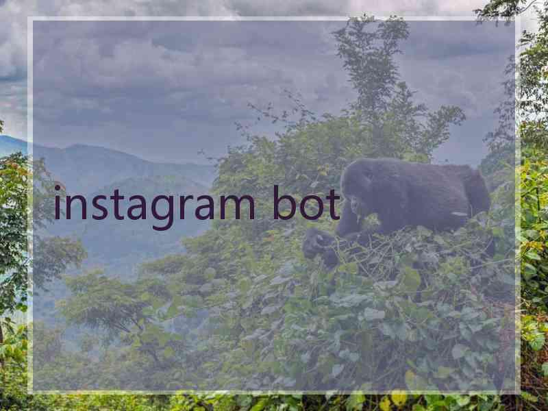 instagram bot