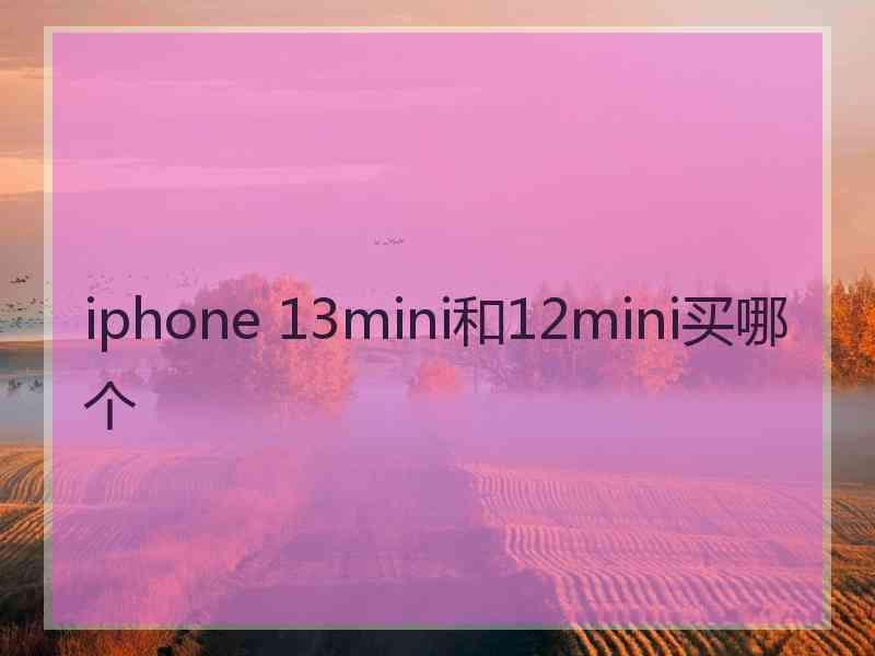 iphone 13mini和12mini买哪个