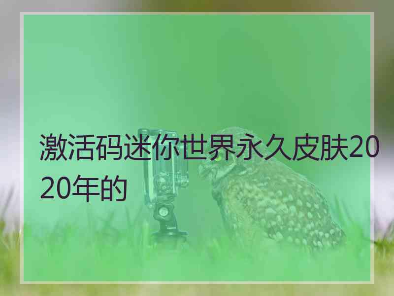 激活码迷你世界永久皮肤2020年的