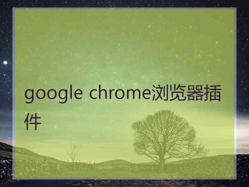 google chrome浏览器插件